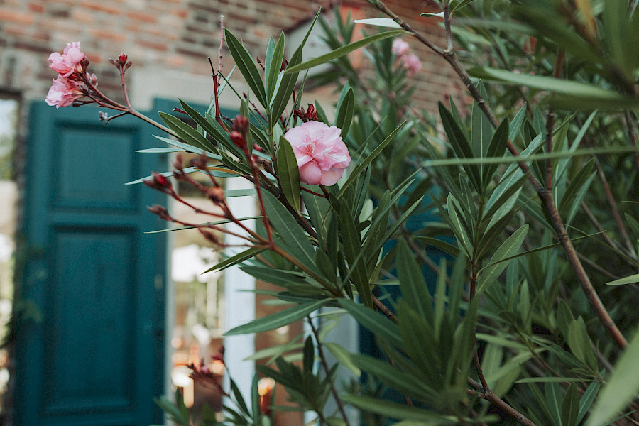 Katja Velmans Hochzeitsfotograf Düsseldorf – Kirchliche Trauung in der Altstadt und Hochzeitsfeier auf dem Nothenhof